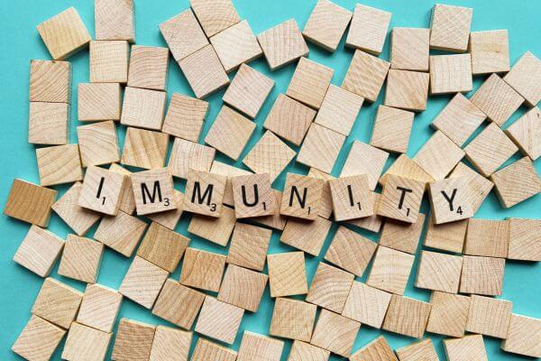 Boost Your Natural Defenses With the Immune Pack